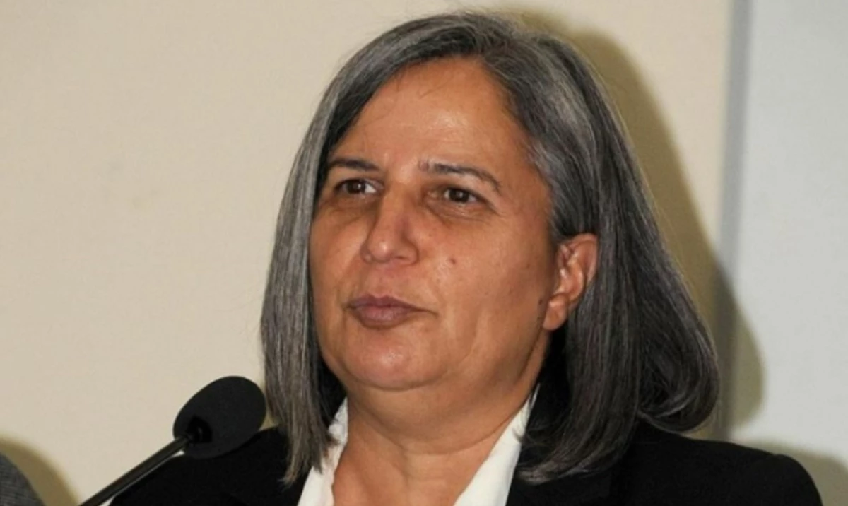 Gultan Kisanak Kimdir Dem Parti Nin Ankara Adayi Gorsel