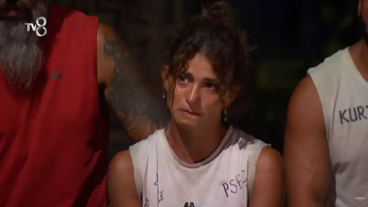 Survivor Pinar Resim