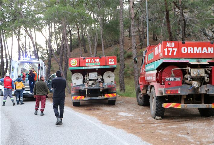 Antalya Ormandaki Yanginda Yerde Yatarke 24866 (3) (Small)