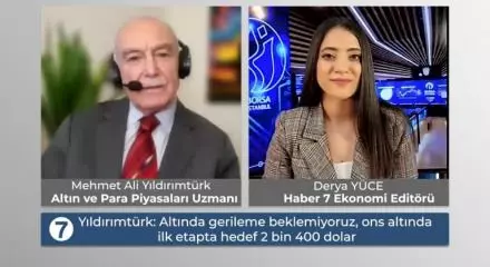 Mehmet Ali Yildirimturk Acikladi Gram Altin Yil Sonunda 1710411431 4088.Jpg