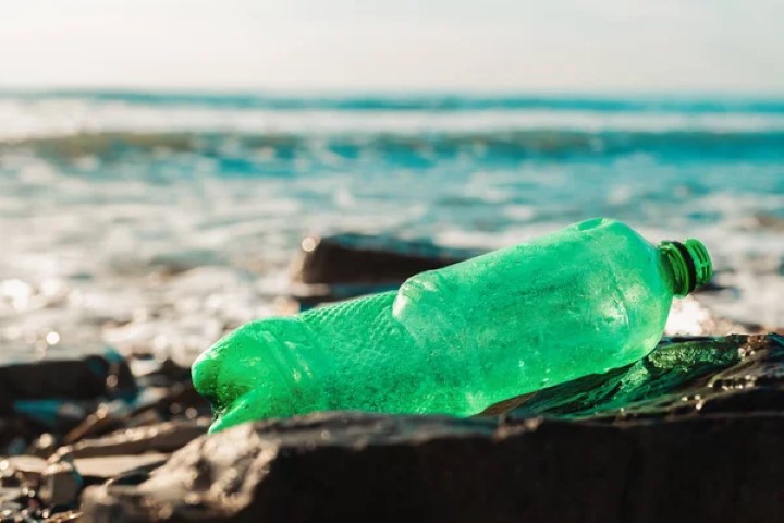 Depositphotos 537829234 Stock Photo Green Plastic Bottle Lying Shore (Small)