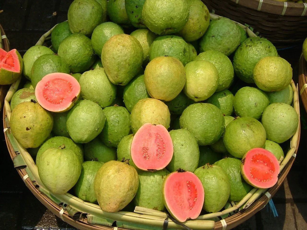 Guavanin Faydalari