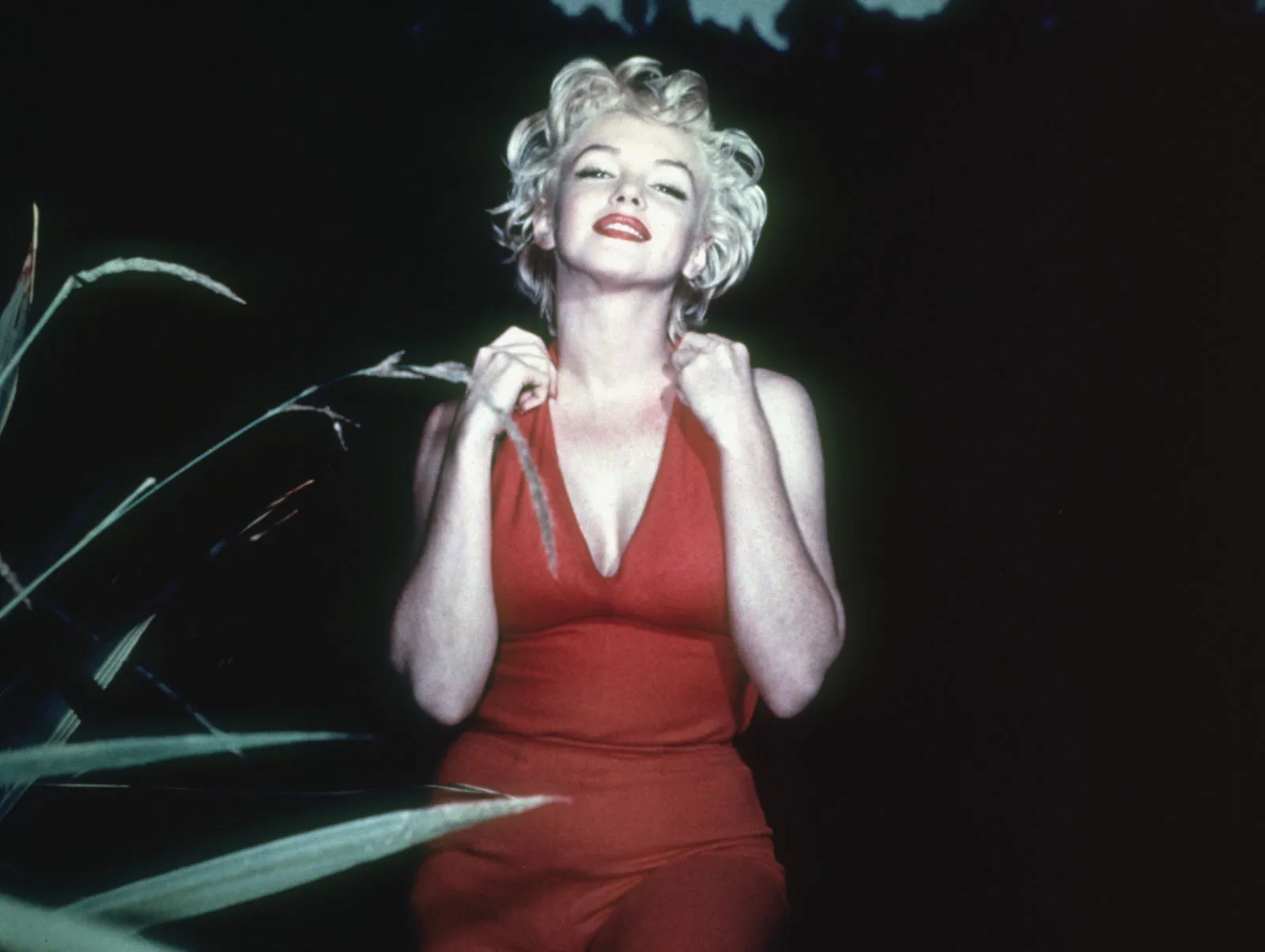 Marilyn Monroe Hayrani