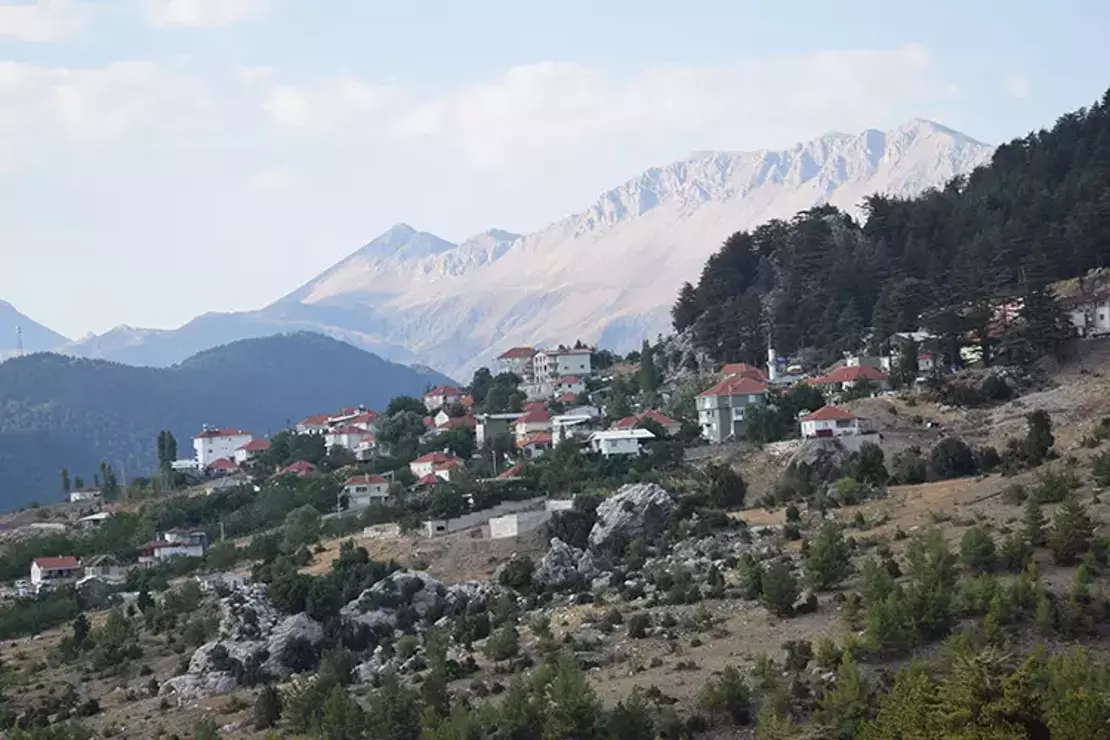 Söğüt Cuması Yaylası