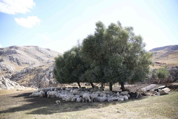 Antalya Buyuksehir Belediyesi Mera Alanlari (Small)