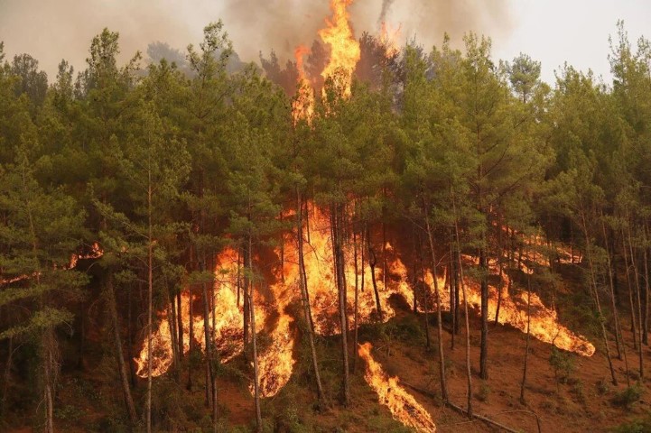 Antalyada Ormanlara Giris Yasaklanacak Mi (Small)