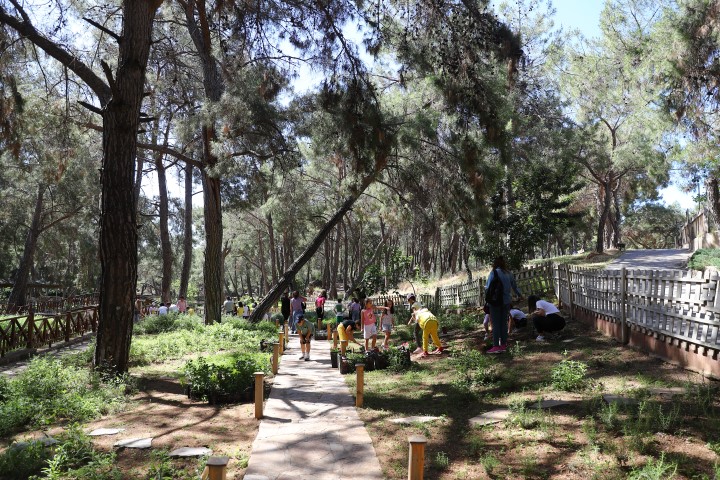 Öğrenciler Koku Bahçesi'nde Tıbbi Bitkileri Keşfediyor (8) (Small)