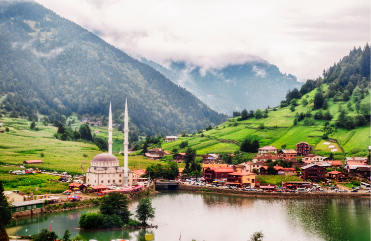 Trabzon (Small)