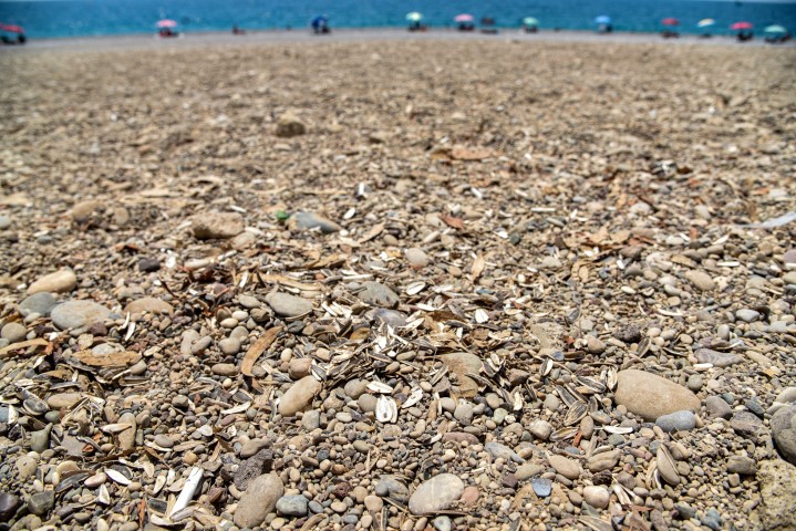 Antalya Plajları Çöp Doldu (3)