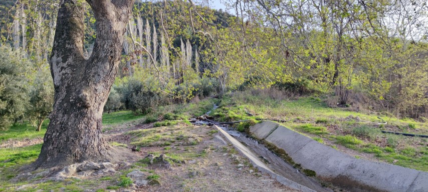 Güney Şelalesi (4) (Small)