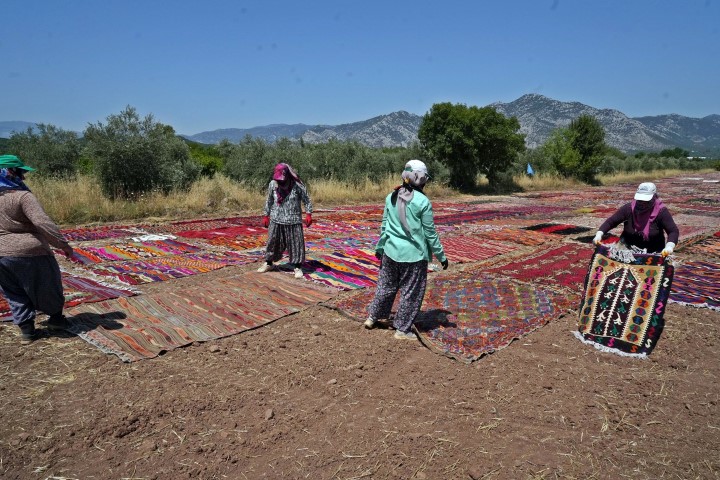 Halı Tarlası (10) (Small)