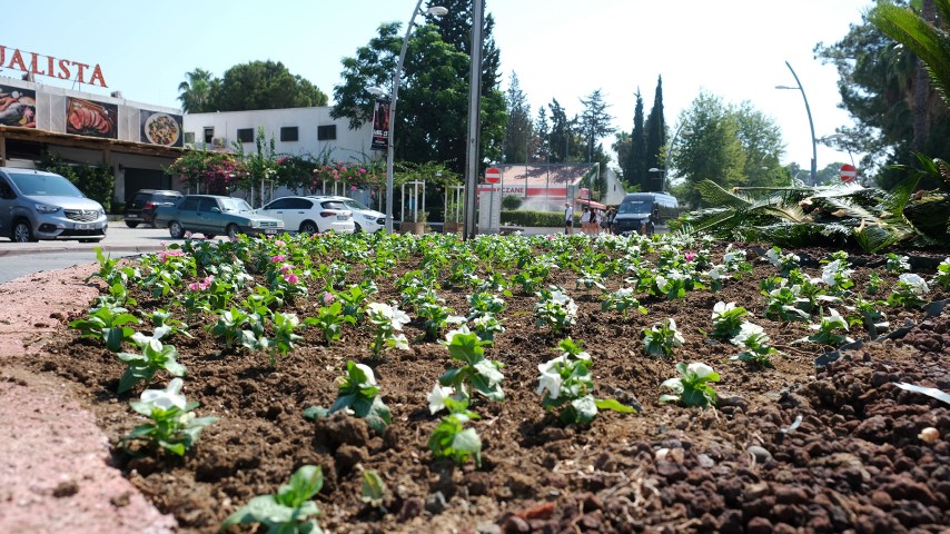 Kemerin Çehresi Değişiyor (3)