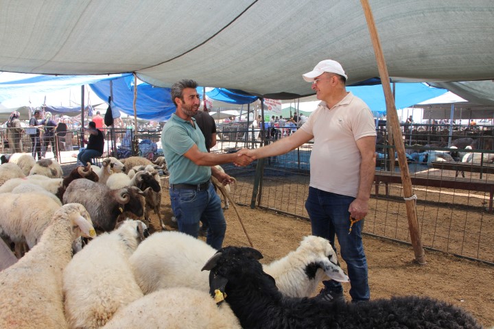 Mersi̇n Kurban Pazari Bayramda (1)