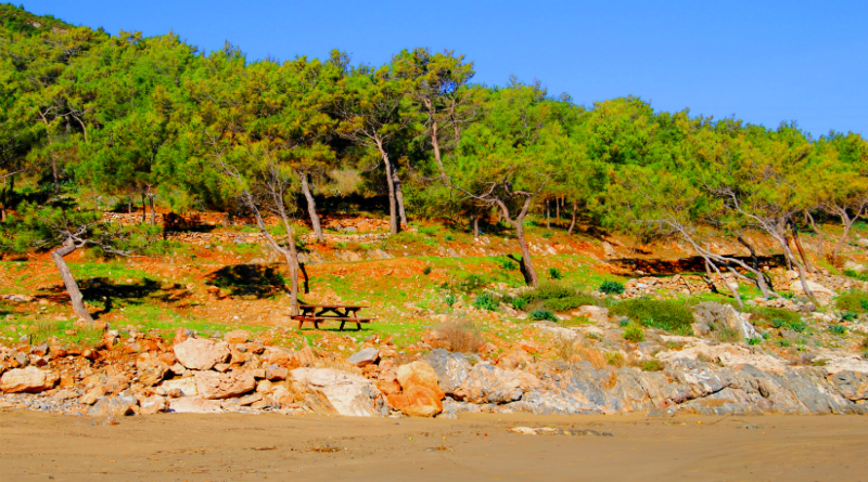 Mersin Piknik Alanlari Aydincik