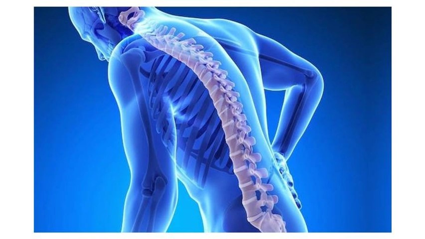 Osteoporoz Kemik Erimesi Nedir Nasil Tedavi Edilir Osteoporozdan Korunmak Icin Neler Yapilabilir 1 (Small)