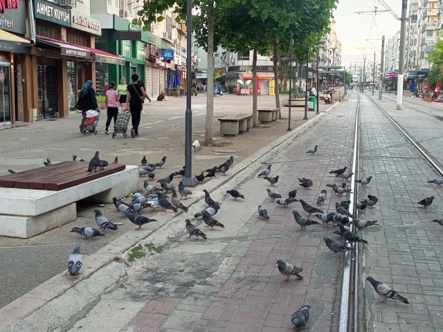 Sarampol Caddesi Sultanahmede Dondu (3) (Small)