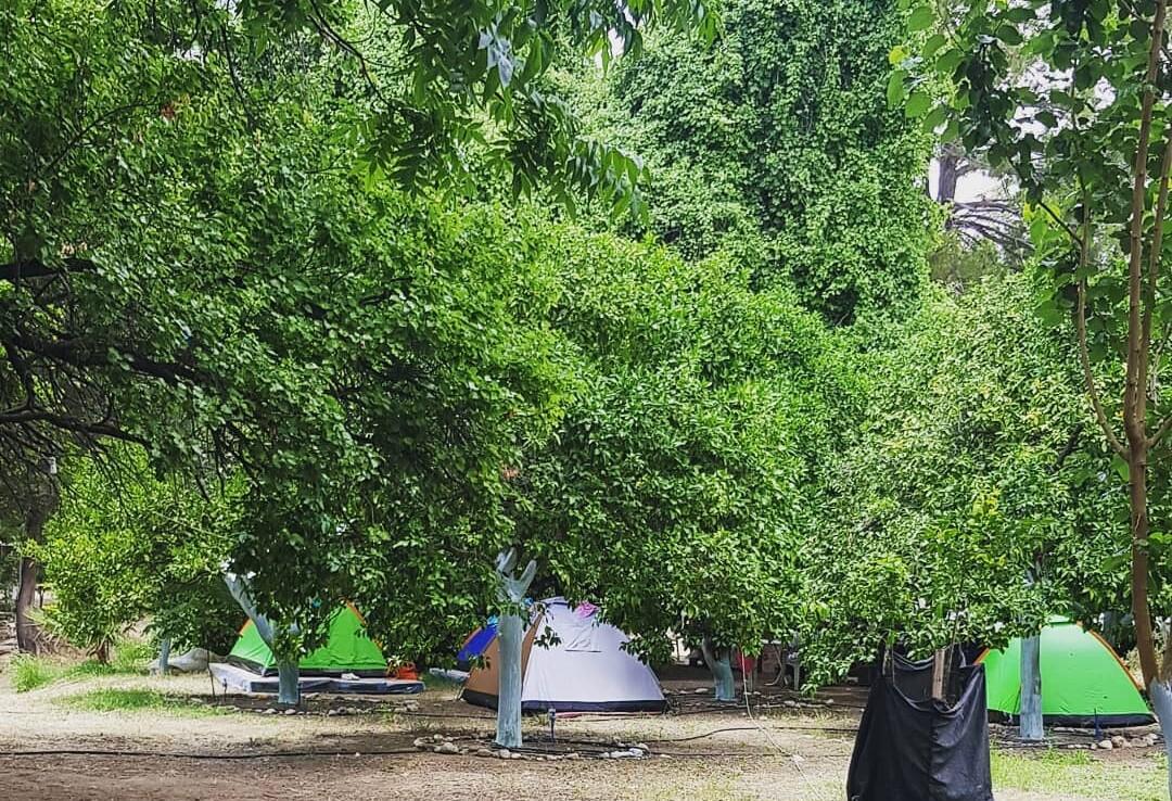 Tavus Kusu Camping