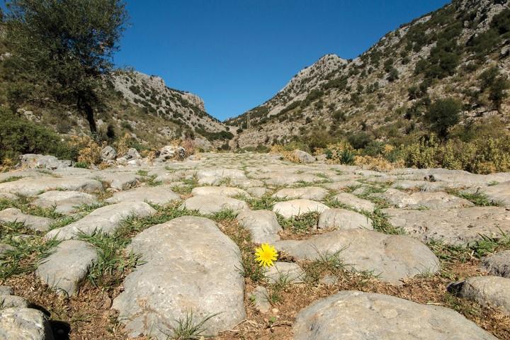 Antik Döşeme Yolu (2) (Small)