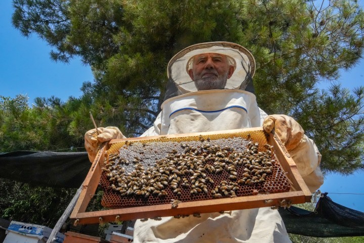 Arıcılık (2)