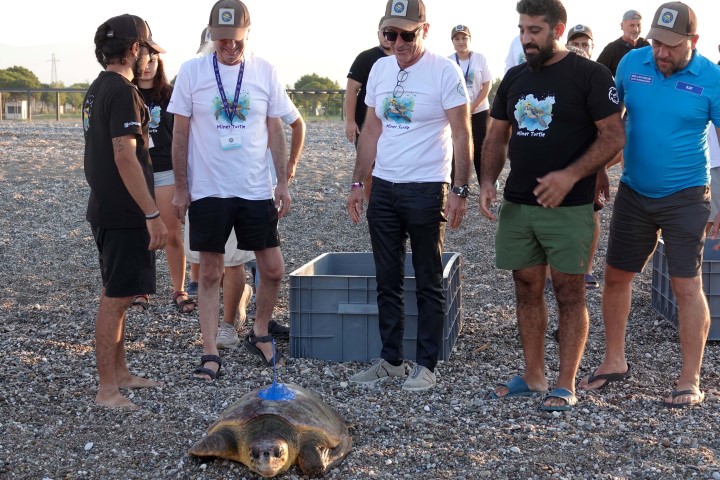 Manavgatta Deniz Kaplumbagalari Uydu Izleme (1) (Small)