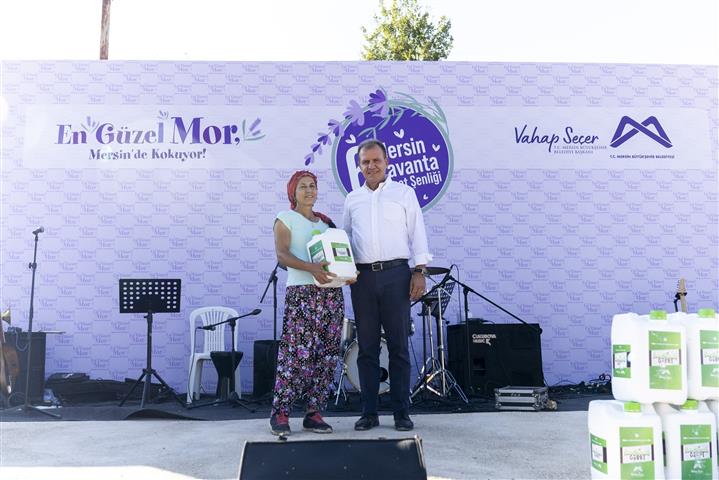 Mor Mersin (3) (Small)