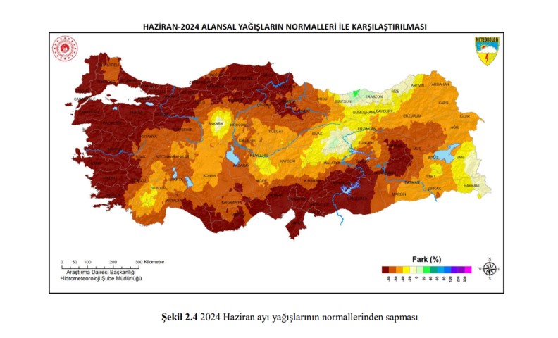 Yağış (2)