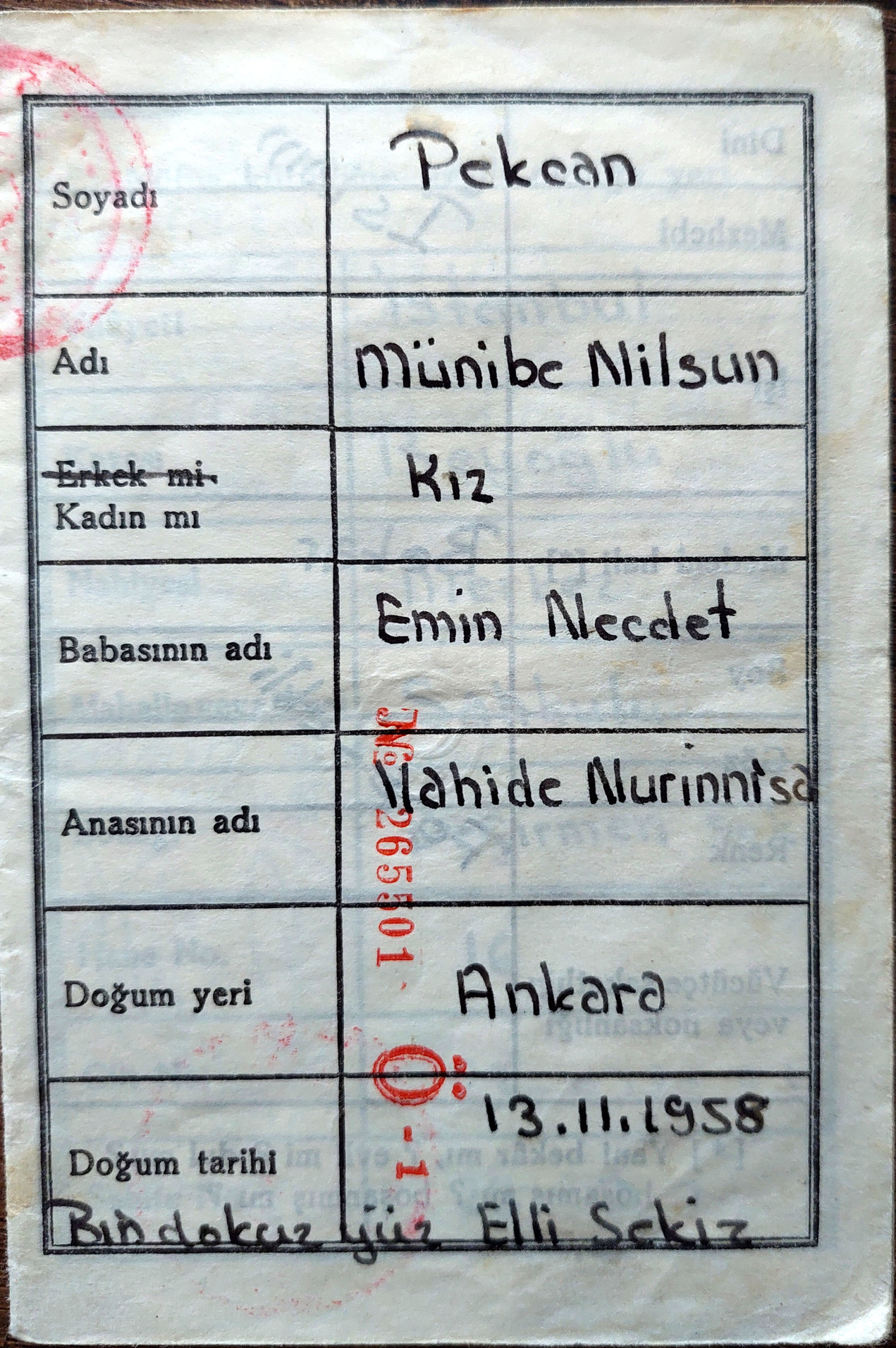 Annesini Arıyor (5)