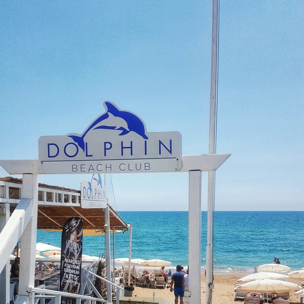 Antalya Manavgat Dolphin