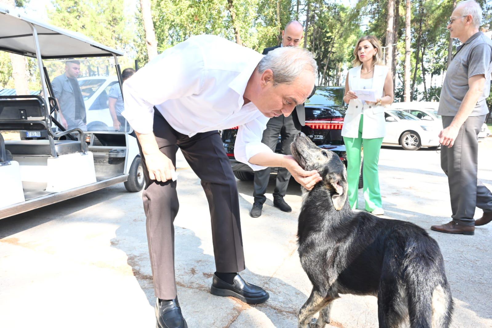 Baskan Kocagoz, Eski M K E Pil Fabrikasi Yerleskesini Inceledi 3