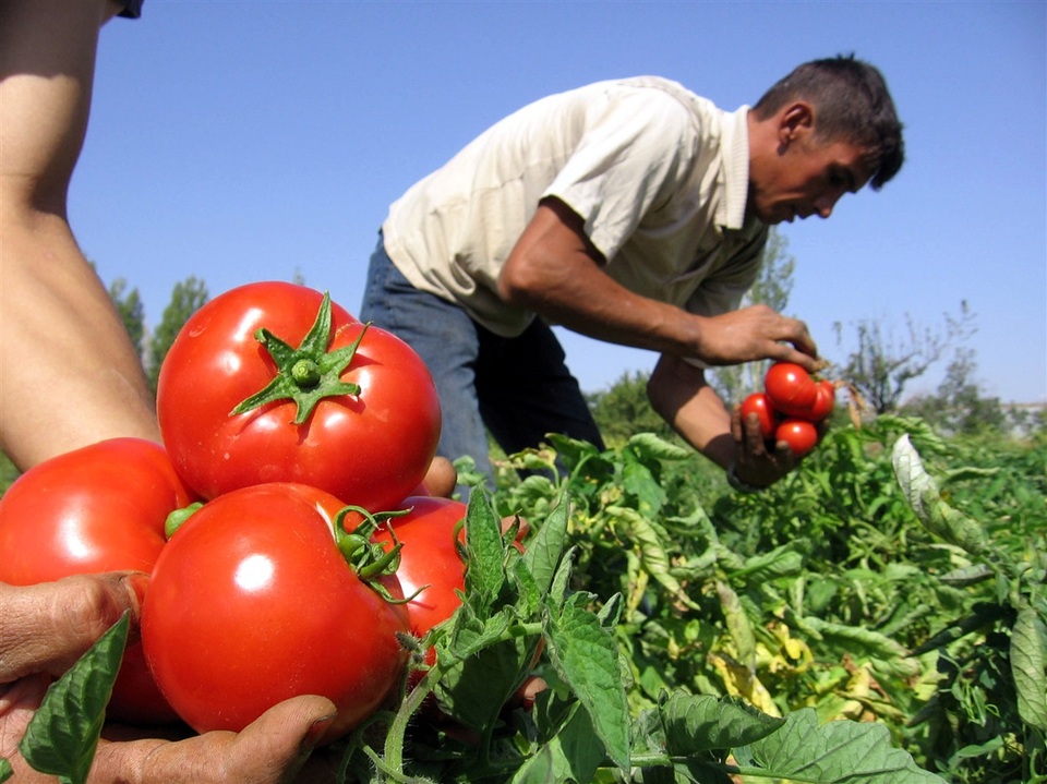 Belediye Başkanı Sinirlendi (2)