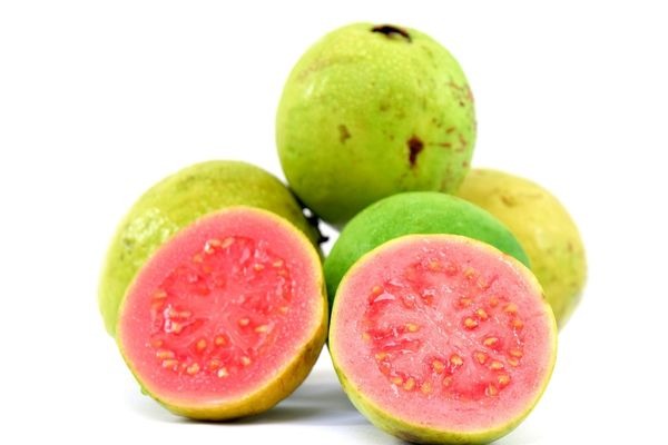 Guava Meyvesi Faydalari 2