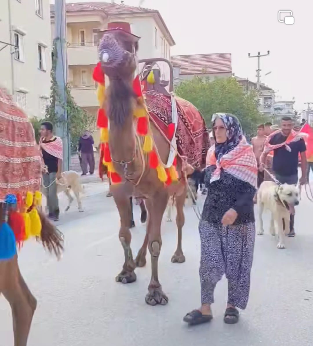 Korkuteli Belediyesi (6)