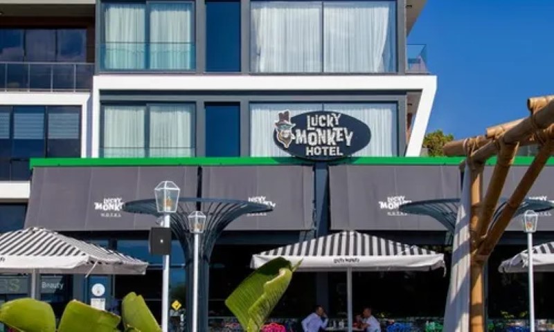 Luckymonkeyhotel (Small)