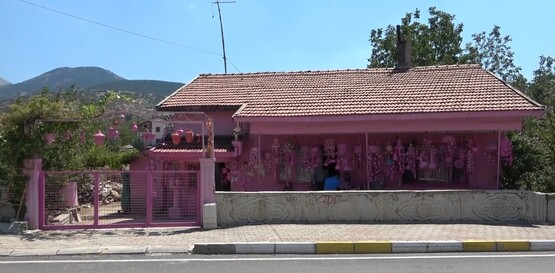 Pembe Ev (1)