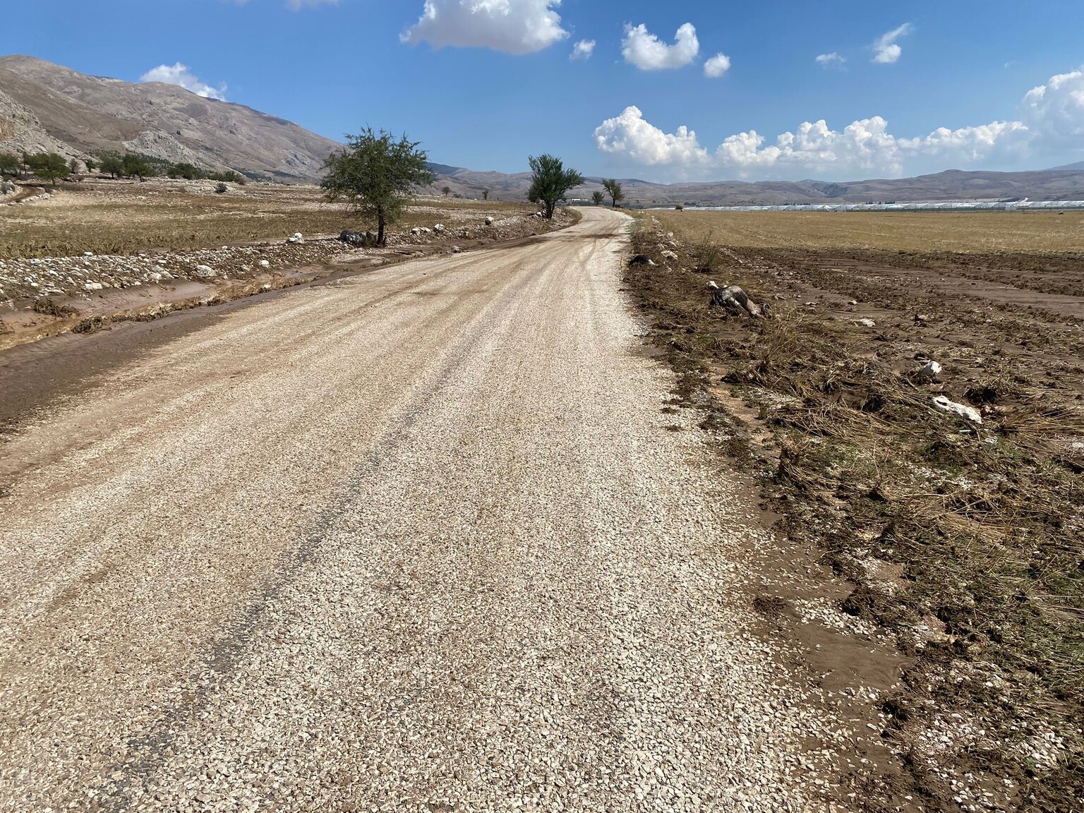 Yazlıkçı Ilçesi (1)