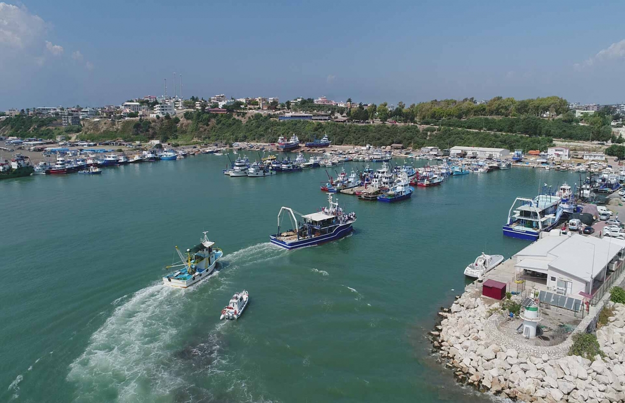 Adana Deniz Balık (1)-1