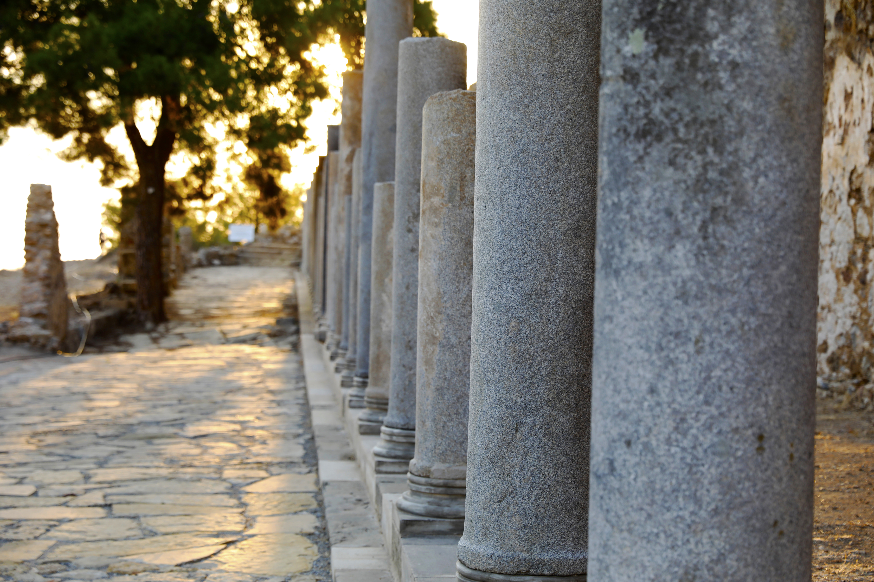 Alanya Belediyesi Düğmeye Bastı (13)