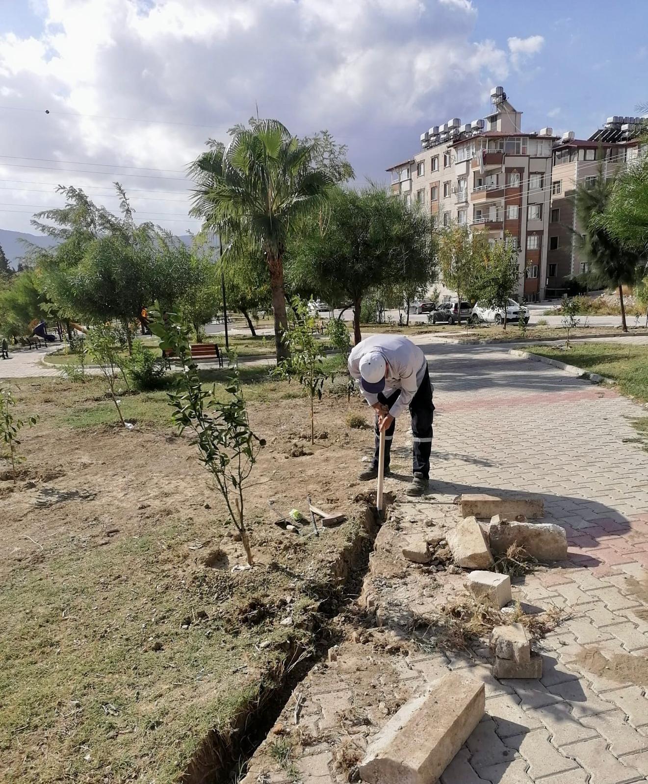 Antakya'da Yeşillendirme Çalışması (2)