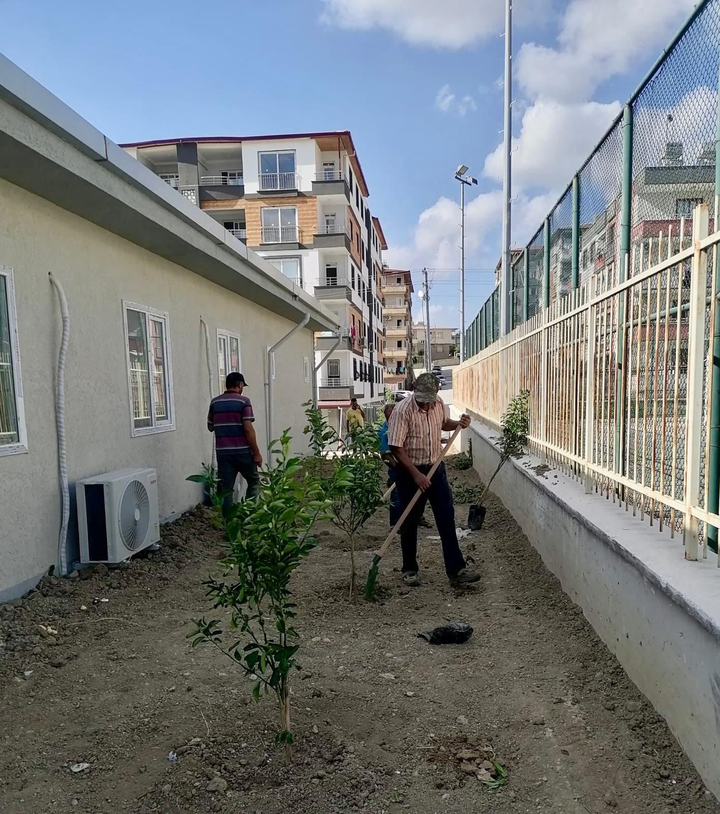 Antakya'da Yeşillendirme Çalışması (4)