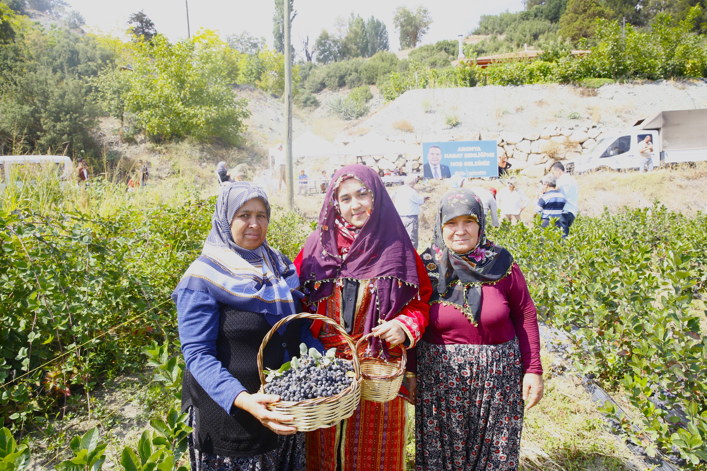 Antalya'da Aronya Hasadı Başladı (31)