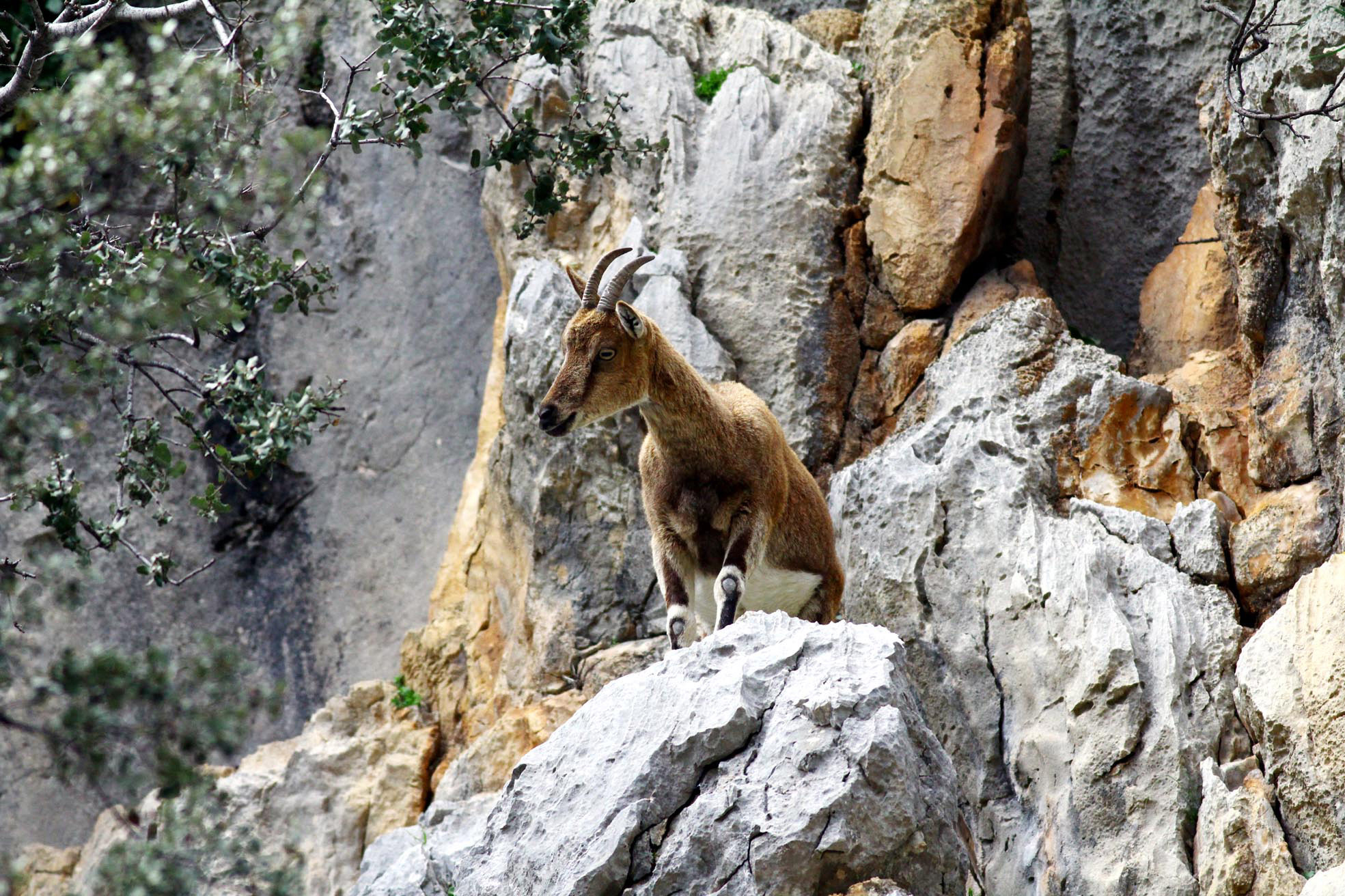 Antalya'da Turizm Dönemi (1)