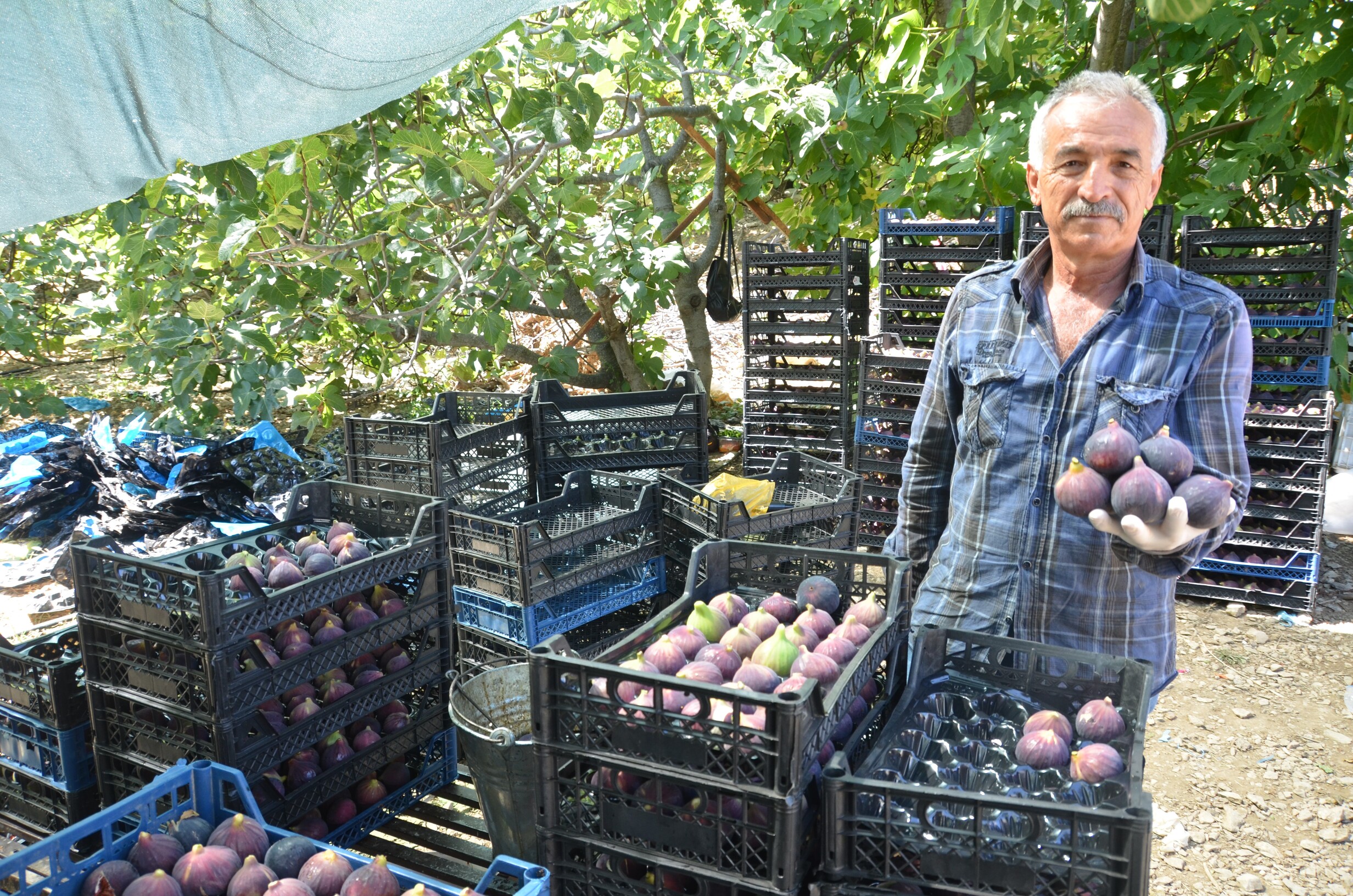 Bursanın Siyah Incisi (2)