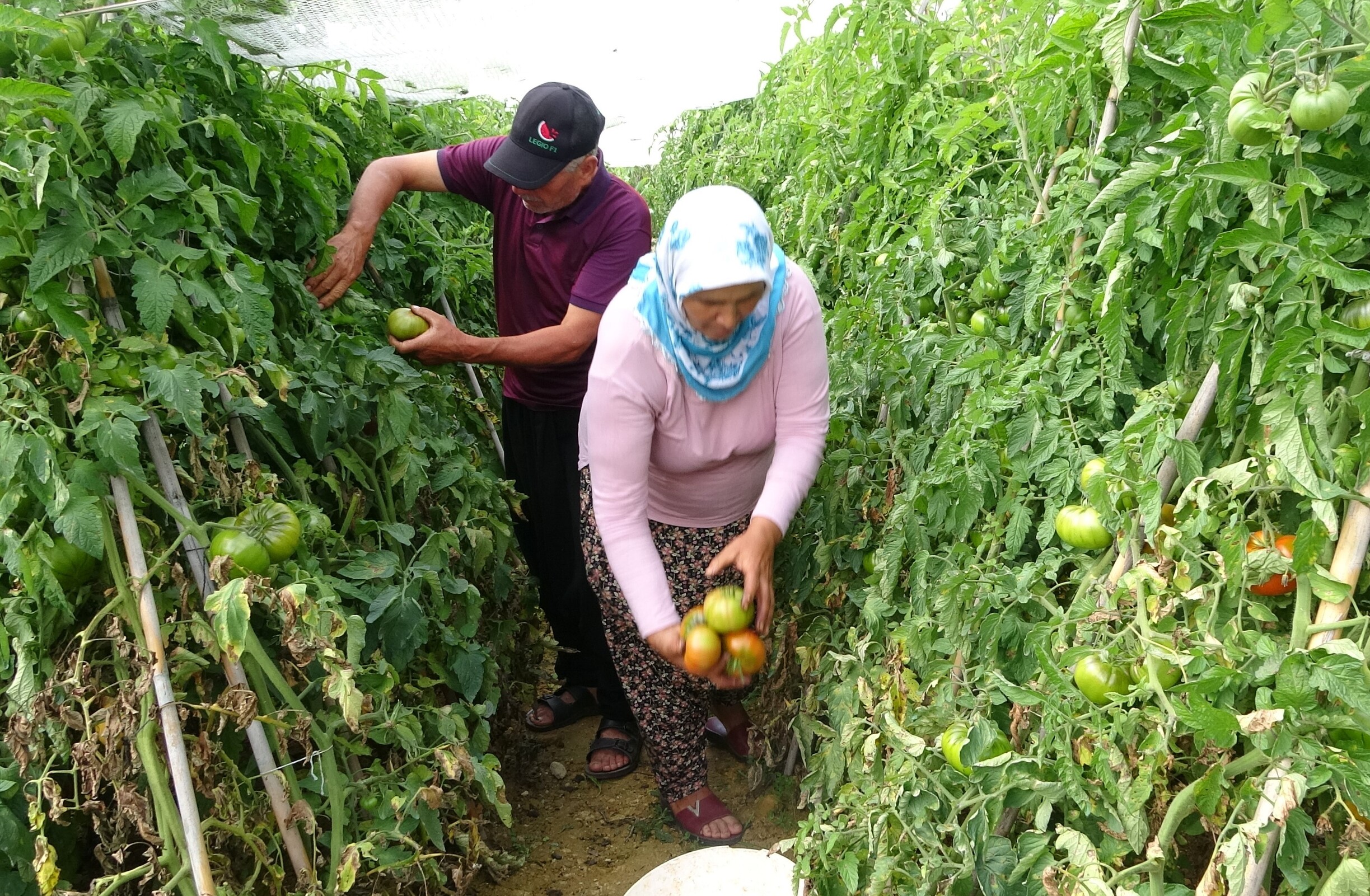 Kurduğu Sistemle Sıfırladı (1)