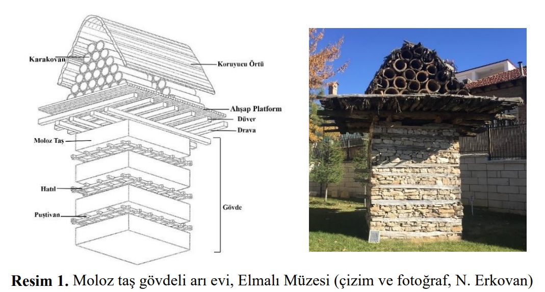 Likya Arıcılıkları (1)