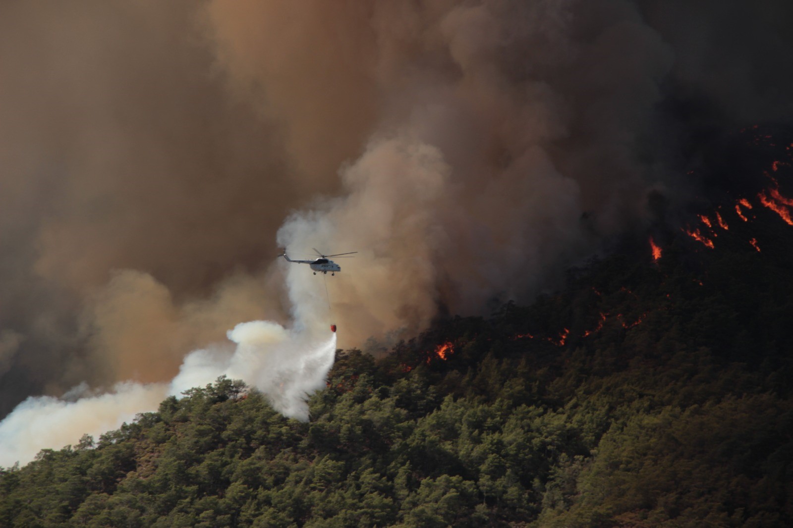 Muğla Resmen Kül Oldu (1)