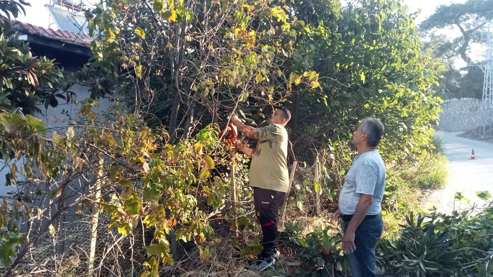 Park Çalışması (1)