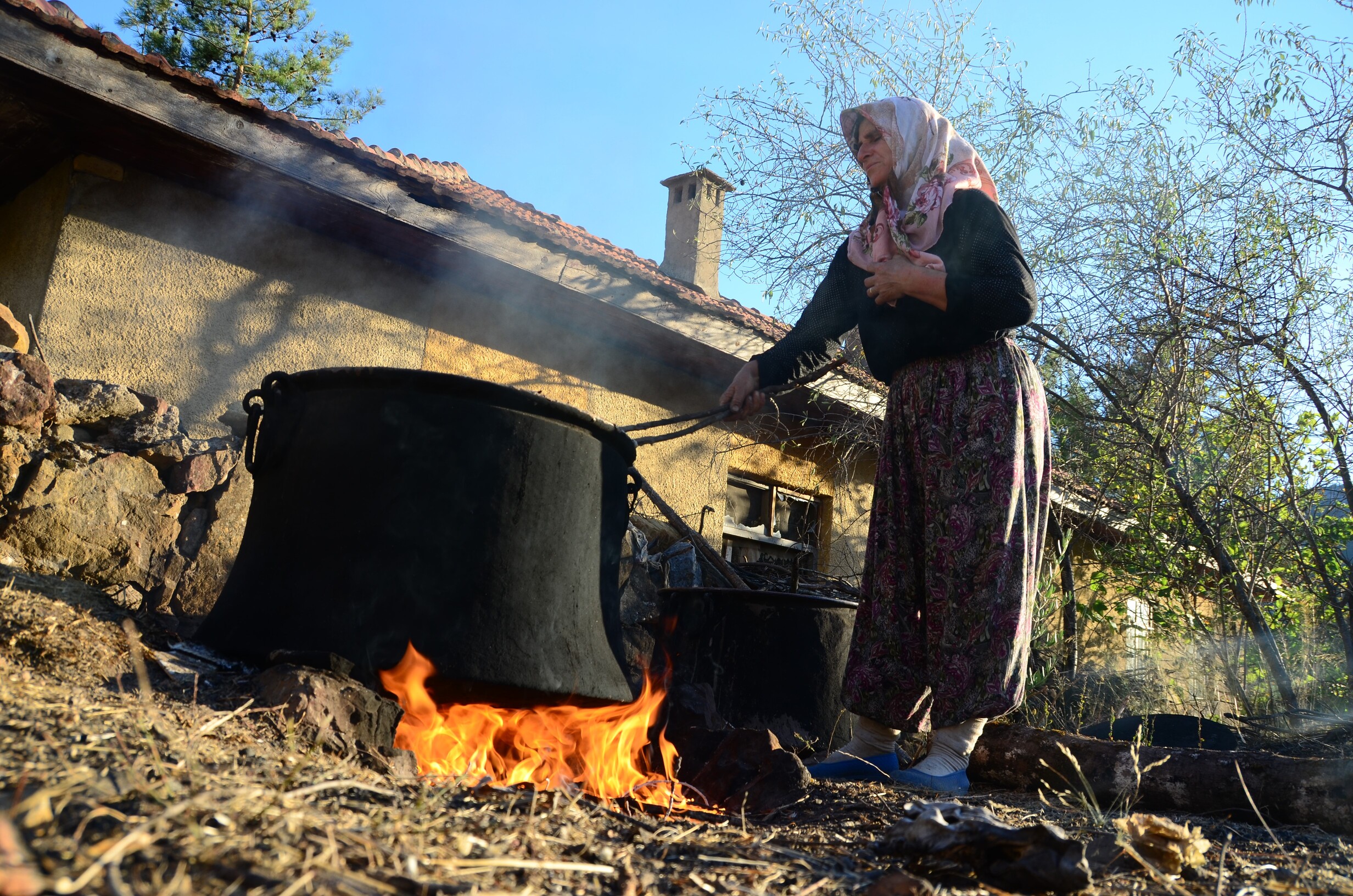 Pekmez Kaynakları (1)