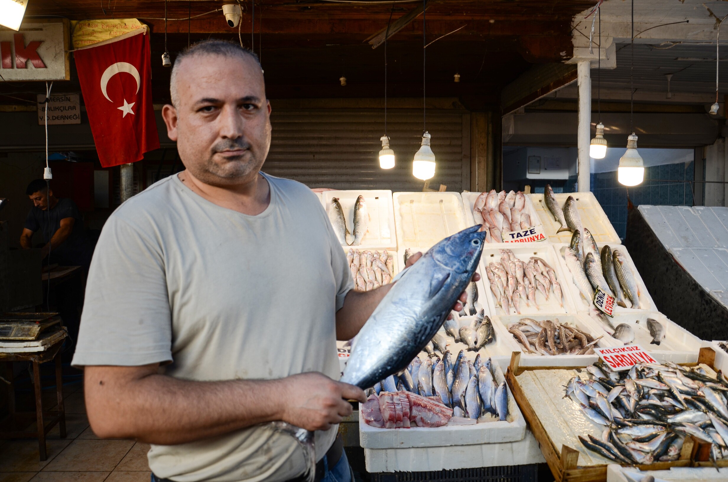 Ucuz Balık Dönemi (4)