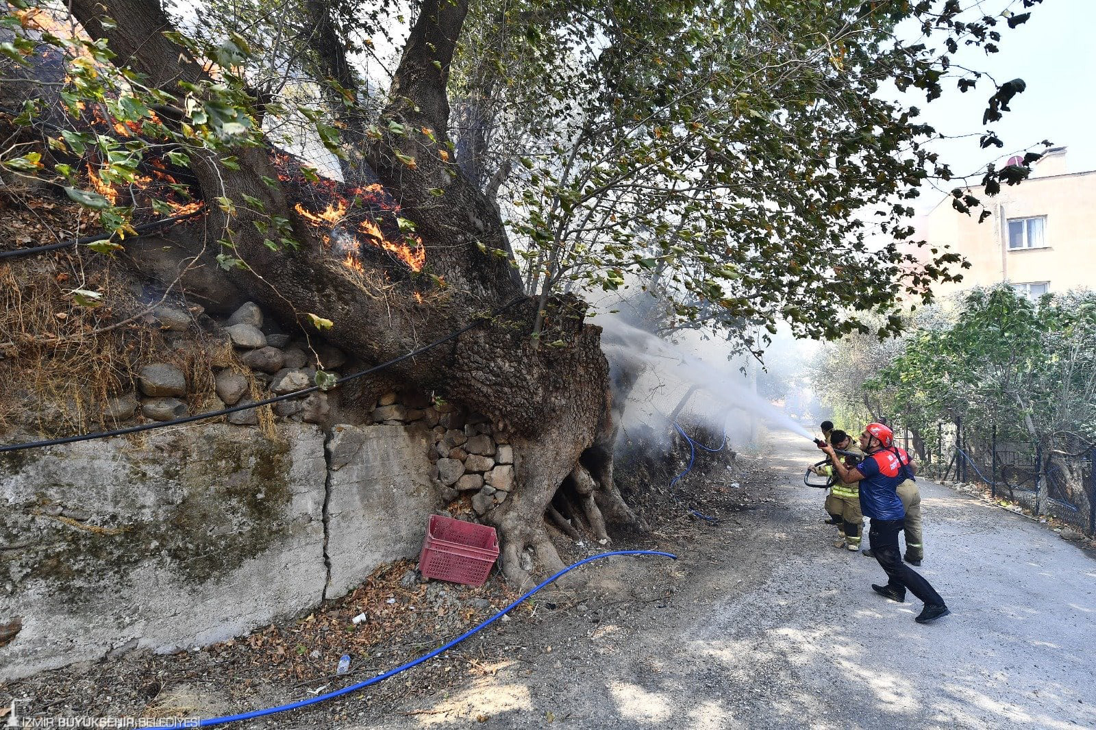 53 Ylın En Sıcak Ayı (5)