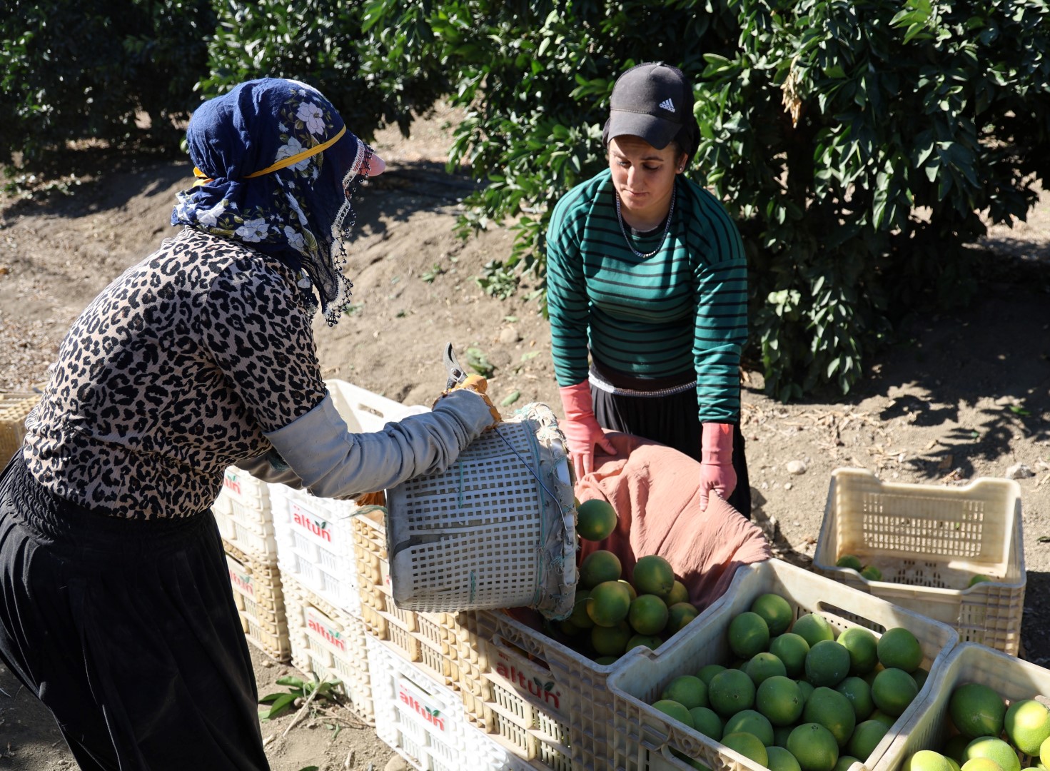 Adana Portakal (3)